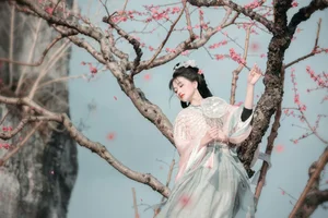 Spring Muse in Hanfu YiTuYu Art Language Vol.8879 Da Wai Wai Ge-35