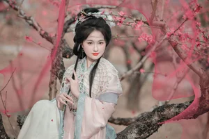 Spring Muse in Hanfu YiTuYu Art Language Vol.8879 Da Wai Wai Ge-27