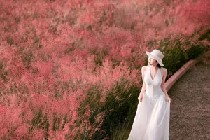 Moc Chau Pink Grass Hill: Autumn's Dreamy Escape for Muses & Perfect Photo Ops-4