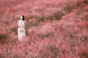 Moc Chau Pink Grass Hill: Autumn's Dreamy Escape for Muses & Perfect Photo Ops-7
