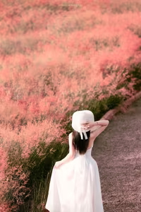 Moc Chau Pink Grass Hill: Autumn's Dreamy Escape for Muses & Perfect Photo Ops-3