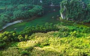 Trang An White Reed Season: Discover Its Ethereal Beauty & Peaceful Charm-4
