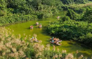 Trang An White Reed Season: Discover Its Ethereal Beauty & Peaceful Charm-6