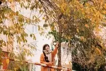 Sapa's Golden Empress Persimmon Tree: A Winter Wonderland for Tourists to Check-in-8