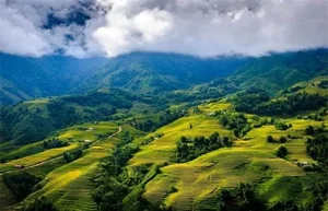 Discover Why Lonely Planet Calls Hoi An Ancient Town a Rare Destination and Must-Visit Gem in Vietnam for Every Global Traveler-1