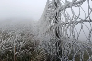 Breathtaking Frost in Vietnam: A Winter Wonderland Reminiscent of Europe-4