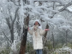 Breathtaking Frost in Vietnam: A Winter Wonderland Reminiscent of Europe-9