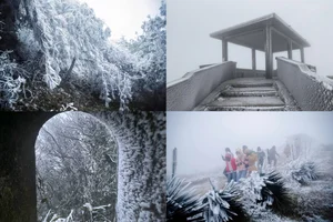 Breathtaking Frost in Vietnam: A Winter Wonderland Reminiscent of Europe-2