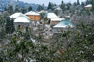 Breathtaking Frost in Vietnam: A Winter Wonderland Reminiscent of Europe-0