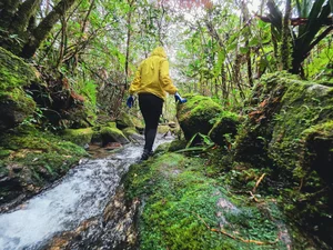 Conquering Pa Thien - Voi Mep: A Breathtaking Trekking Adventure Through Vietnam's Sea of Clouds and Ancient Forests-4