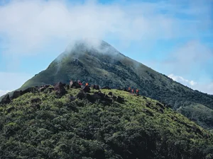Conquering Pa Thien - Voi Mep: A Breathtaking Trekking Adventure Through Vietnam's Sea of Clouds and Ancient Forests-1