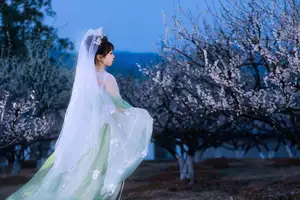 YiTuYu Vol.8718: Zhou Zhou AY - Ethereal Hanfu Beauty Amidst Enchanting Night Blossoms-2