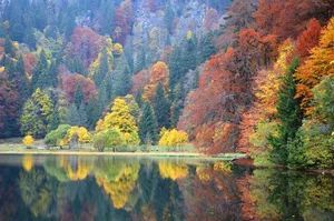 Exploring the Enchanting Black Forest: Germany's Most Iconic Nature Escape, Home to Grimm’s Fairy Tales and Timeless Traditions-0