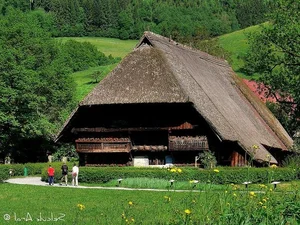 Exploring the Enchanting Black Forest: Germany's Most Iconic Nature Escape, Home to Grimm’s Fairy Tales and Timeless Traditions-5