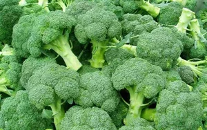 The Art of Balanced Flavors: Refreshing Vietnamese Salads and Healthy Holiday Recipes to Revitalize Your Palate and Boost Digestive Wellness-2