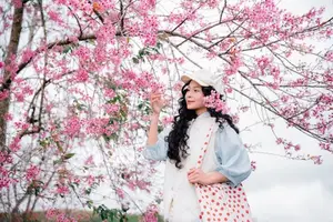 Experience Dalat Cherry Blossoms: Where nature meets wind turbines, an unforgettable photo spot!-5