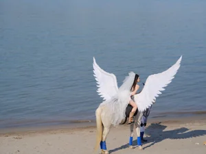 Ethereal Pegasus Muse by the Sea - YiTuYu Art Language Vol.8882-9