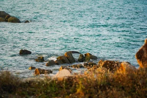 Discover the Serene Beauty of Ho Coc Beach: A Pristine Coastal Escape Near Ho Chi Minh City for Your Next Peaceful Vacation-6