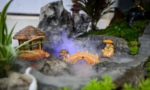 Stunning Artistic Miniature Kumquat Bonsai Trees for Lunar New Year 2026: Luxury Home Decor and Traditional Symbols of Prosperity and Good Fortune-8