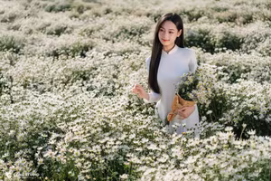 Elegant Vietnamese Woman in White Ao Dai Amidst Blooming Daisy Field - VGU No.123-7