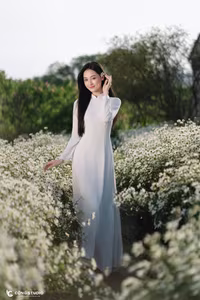 Elegant Vietnamese Woman in White Ao Dai Amidst Blooming Daisy Field - VGU No.123-1