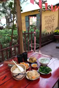 Moc Chau New Year Escape: Find Serenity in Pine Forests, a Relaxing Check-in Spot for Photo Lovers.-5