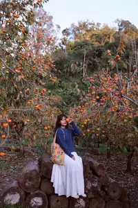 Moc Chau New Year Escape: Find Serenity in Pine Forests, a Relaxing Check-in Spot for Photo Lovers.-9