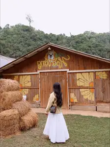 Moc Chau New Year Escape: Find Serenity in Pine Forests, a Relaxing Check-in Spot for Photo Lovers.-4