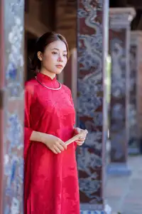 Graceful Vietnamese Traditional Ao Dai: Timeless Elegance 1000024747-4
