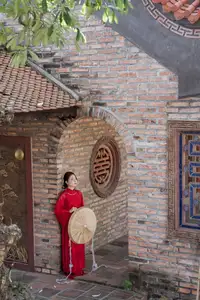 Graceful Vietnamese Traditional Ao Dai: Timeless Elegance 1000024747-17