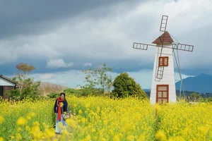 Stunning Yellow Mustard Flower Fields in Da Lat: A Breathtaking Spring Travel Destination in Vietnam's Picturesque Highlands-2