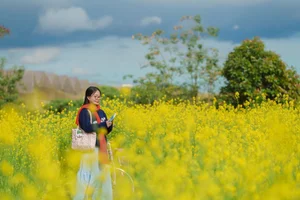 Stunning Yellow Mustard Flower Fields in Da Lat: A Breathtaking Spring Travel Destination in Vietnam's Picturesque Highlands-1