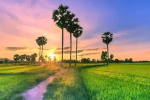 Discover Lang Co: Majestic Natural Beauty, A Peaceful Hidden Gem in Vietnam.-6