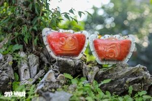 Vibrant Red Pomelo Harvest: A Symbol of Luck for Lunar New Year-4