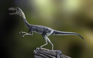 Tiny Wonders: Discovering the Smallest Dinosaurs Ever Found and the Secrets of Prehistoric Miniature Life-6