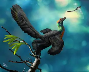 Unveiling the Most Vibrant Dinosaur: Feathered Evidence of Ancient Bird Evolution-3
