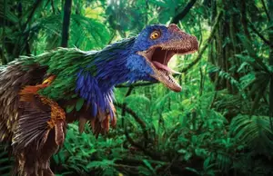 Unveiling the Most Vibrant Dinosaur: Feathered Evidence of Ancient Bird Evolution-4