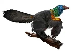 Unveiling the Most Vibrant Dinosaur: Feathered Evidence of Ancient Bird Evolution-8