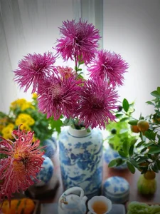 Master the Art of Ancient Chrysanthemums: Stunning Floral Tips for a Long-Lasting Lunar New Year-6