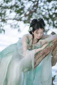 Chi Yan Zai Zhe Li: Ethereal Beauty in Ancient Attire Amidst Nature | YiTuYu Vol.8823-14
