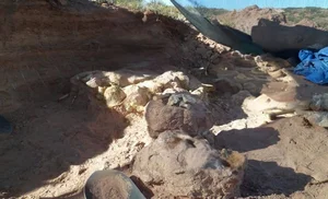 Unveiling Yeneen houssayi: The Massive 10-Ton Prehistoric Titanosaur Discovery That Rewrites Ancient History-3