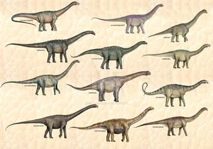 Unveiling Yeneen houssayi: The Massive 10-Ton Prehistoric Titanosaur Discovery That Rewrites Ancient History-2