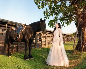 Elegant Beauty: Graceful Girl with a Majestic Black Horse-12