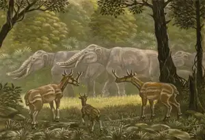 Unbelievable! Synthetoceras: The Hoofed Animal with the Strangest Horns Ever Existed-4