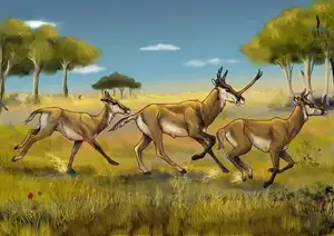 Unbelievable! Synthetoceras: The Hoofed Animal with the Strangest Horns Ever Existed-1