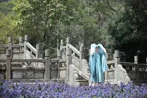 Zhi Zhi Qi: Enchanting Traditional Beauty on Horseback – YiTuYu Vol.8831 Forest Dream-4