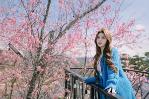 Dreamy muse amidst the blooming cherry blossoms in Da Lat-5