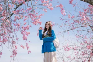 Dreamy muse amidst the blooming cherry blossoms in Da Lat-8