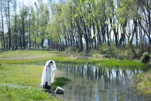 Wan Jiang Ting Vol.8722: Ethereal Beauty by the Stream, A Poetic Visual Journey-6