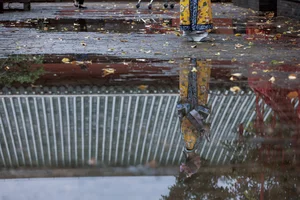 Timeless Elegance in YiTuYu Vol.8895 featuring Re Mei Shi Xiao Guai-11